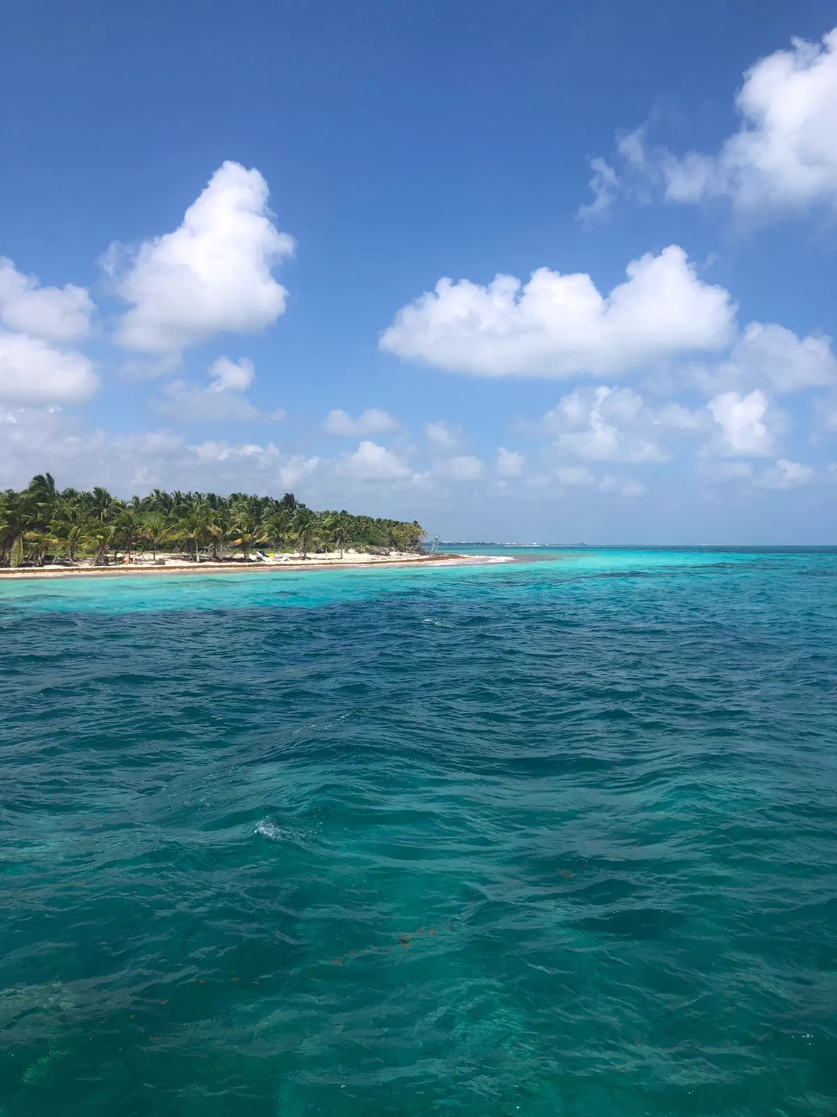 Turquoise Waters & Beach 1